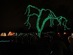 094 Toledo Zoo Light Show [2008 Dec 27]